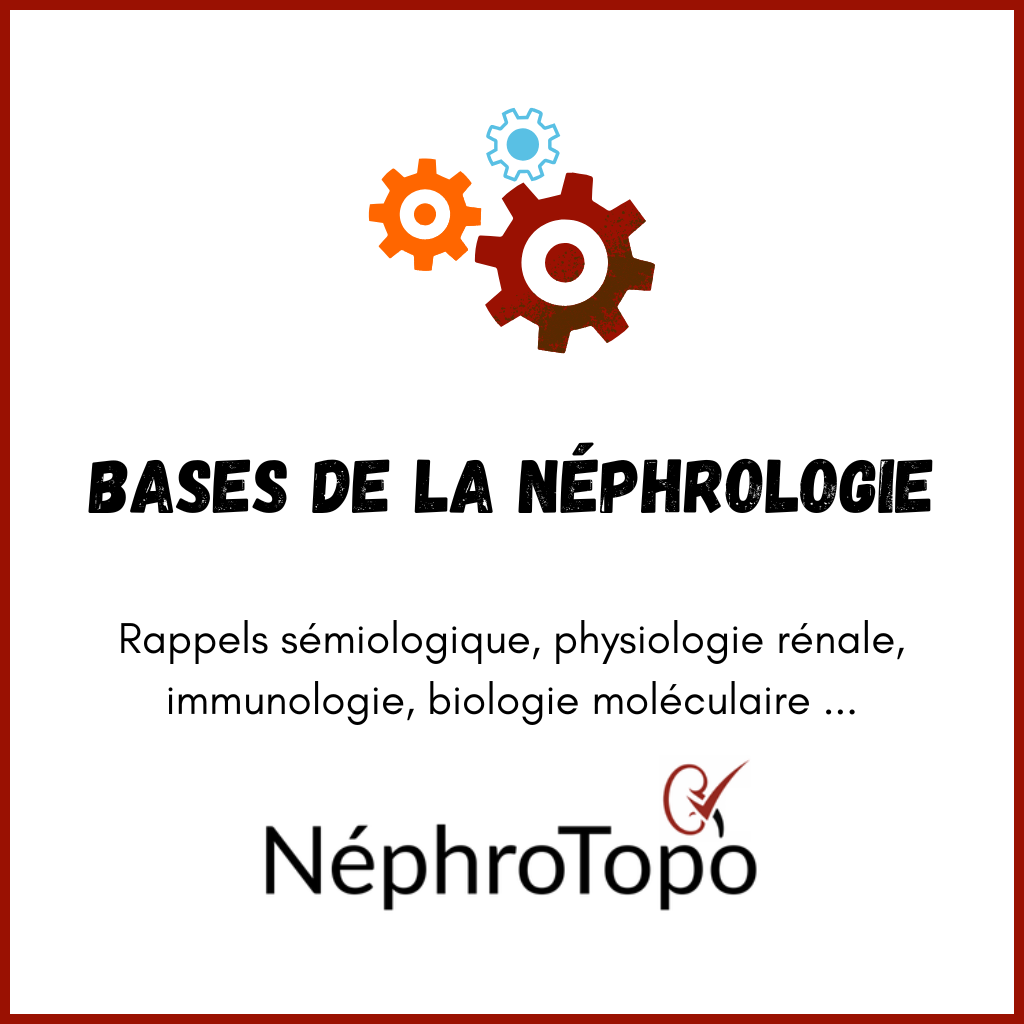Bases de la Néphrologie