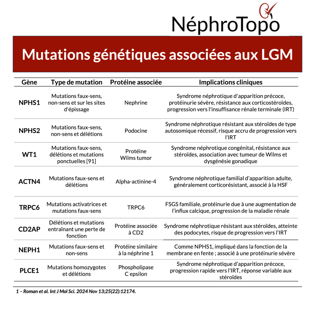 mutation-genetique-lgm-nephrotpo