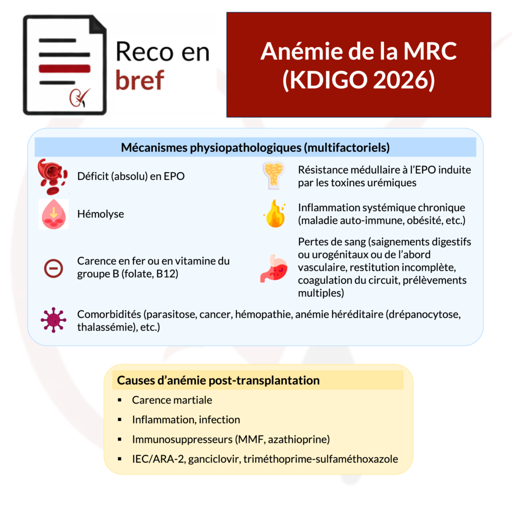 anémie-physiopathologie-kdigo-mrc-kdigo-nephrotopo