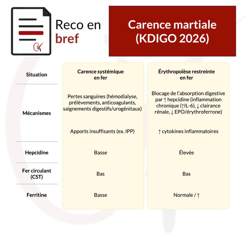 carence-martial-erythropoeise-restreint-en-fer-kdigo-2026-nephrotopo
