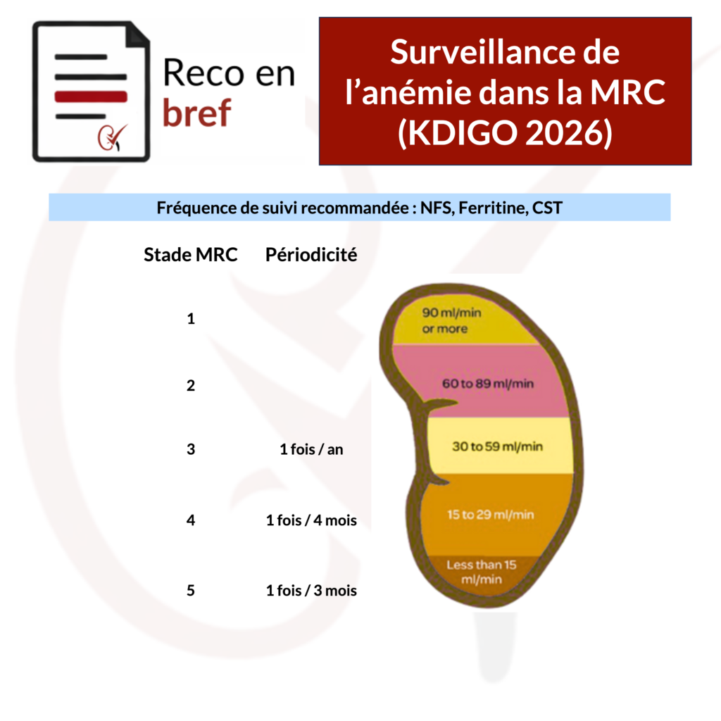 surveillance-anemie-kdigo-2026-nephrotopo