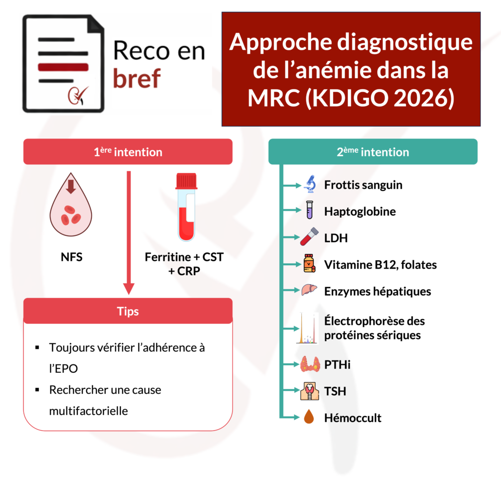 approche-diagnostique-anemie-mrc-kdigo-2026-nephrotopo