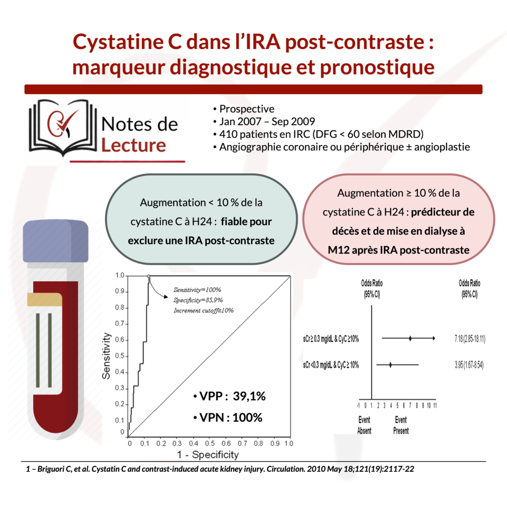 cinetique-cystatine-c-ira-post-contraste-nephrotopo
